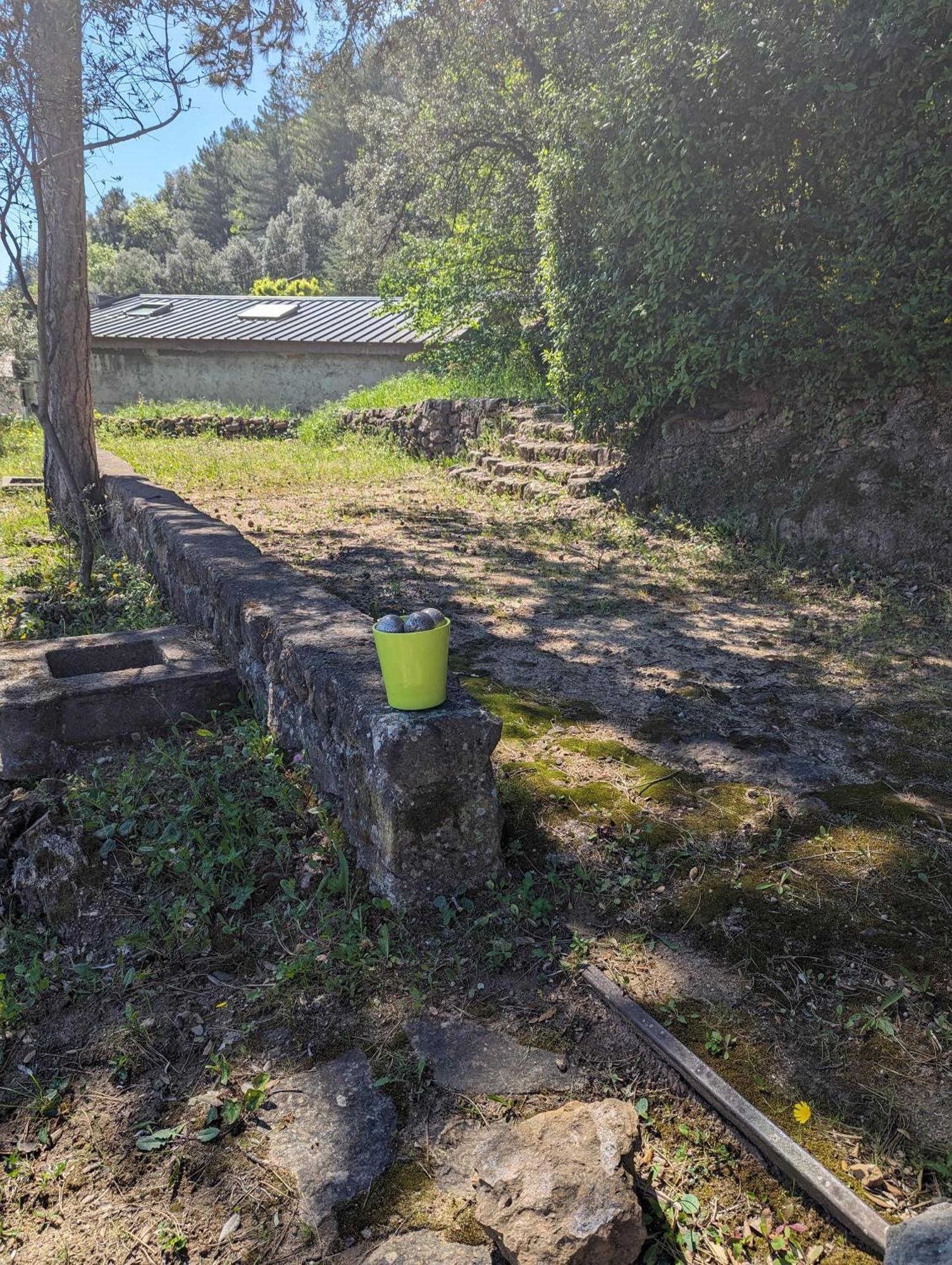 Auberge Des Pins Aubenas Dış mekan fotoğraf